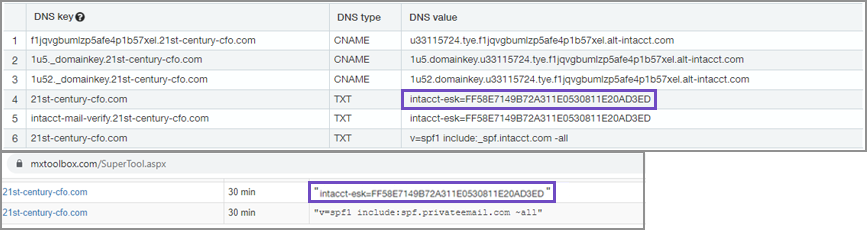 A table that displays rows of DNS keys, types, and values.